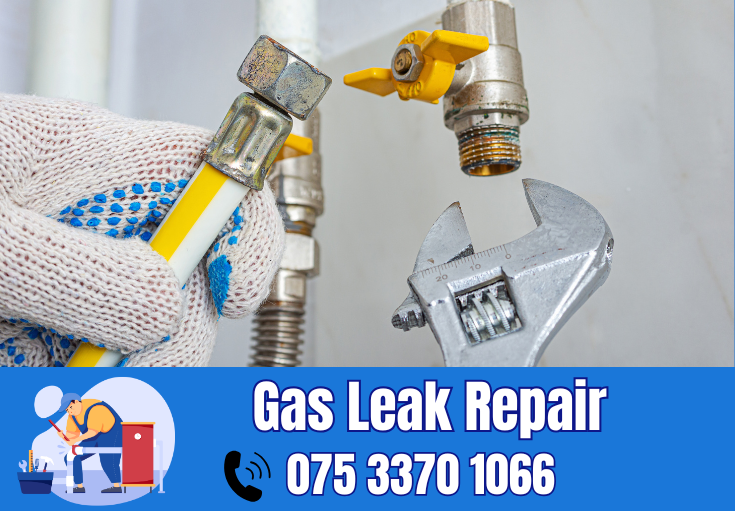 gas leak repair Snodland