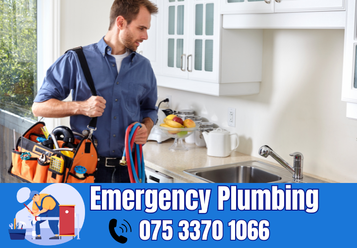  plumber Larkfield