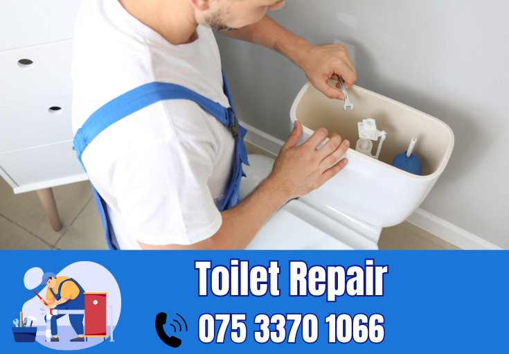 toilet repair Snodland